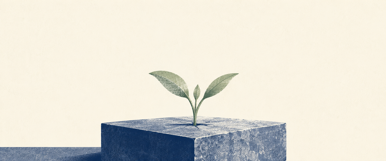 Duotone illustration showing why emergency fund vs investing first matters, with growth rooted in a stable base